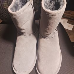 Bearpaw