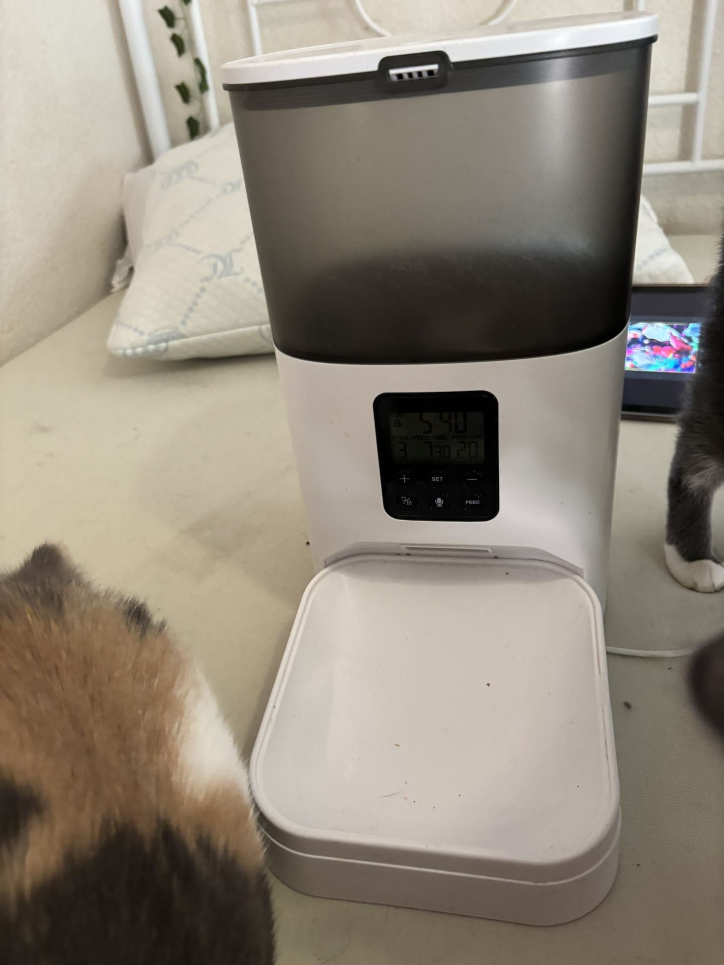 automatic Cat Feeder 