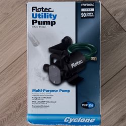 Flotec Cyclone Water Removal Pump