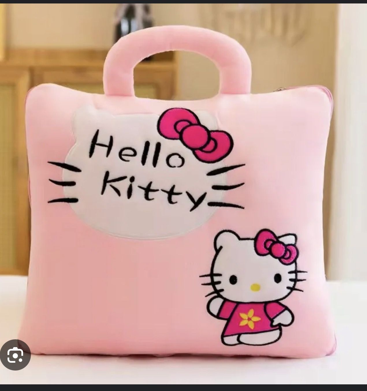 Blanket In A Bag