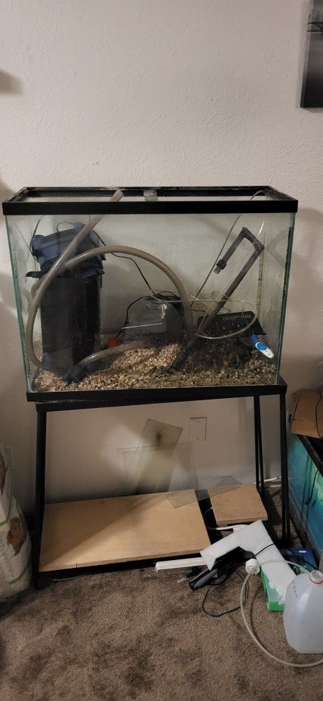 33 Gall Fish Tank