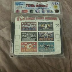Vintage Anaheim Mighty Ducks Team Banner By Tag Express 1990s New