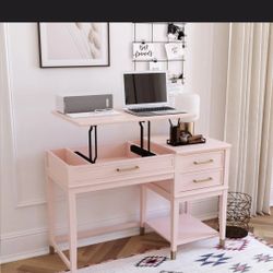 Cute Pink Sit to Stand Desk