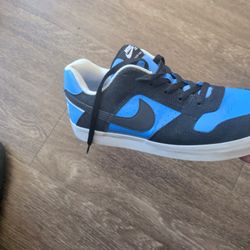 Nike SB Delta Force Vulc Used No Box 