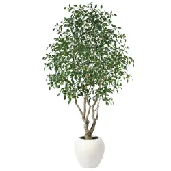 8-Foot Artificial Ficus Tree with White Planter
