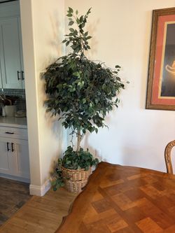 Tall Artificial Plant From Costco includes Lights