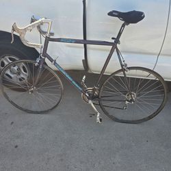 Vintage Diamondback prevail gt streetbike!