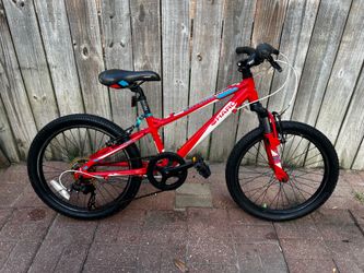 HARO FLIGHT LINE 20”