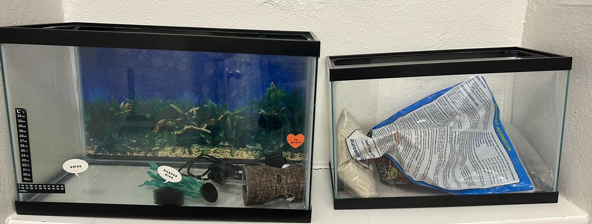 FISHTANKS