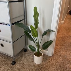 fake indoor plant