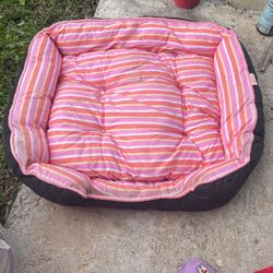 Dog Bed 