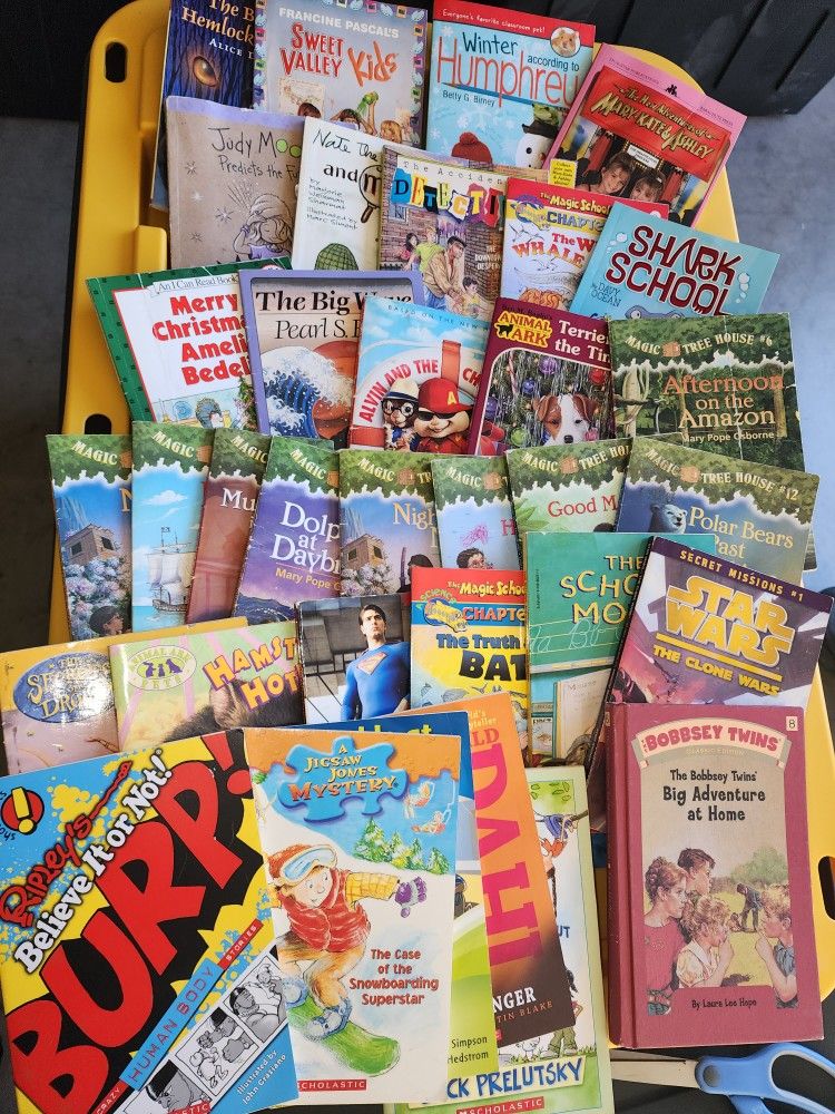 34 Young Elementary Chapter Books