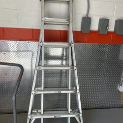 Werner Giant Ladder 