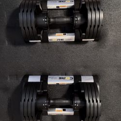 The Core Fitness Adjustable Dumbbell Weight