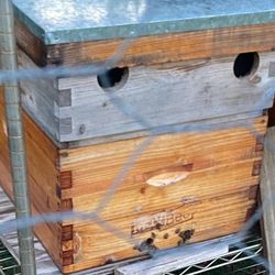 Active Bee Hive 