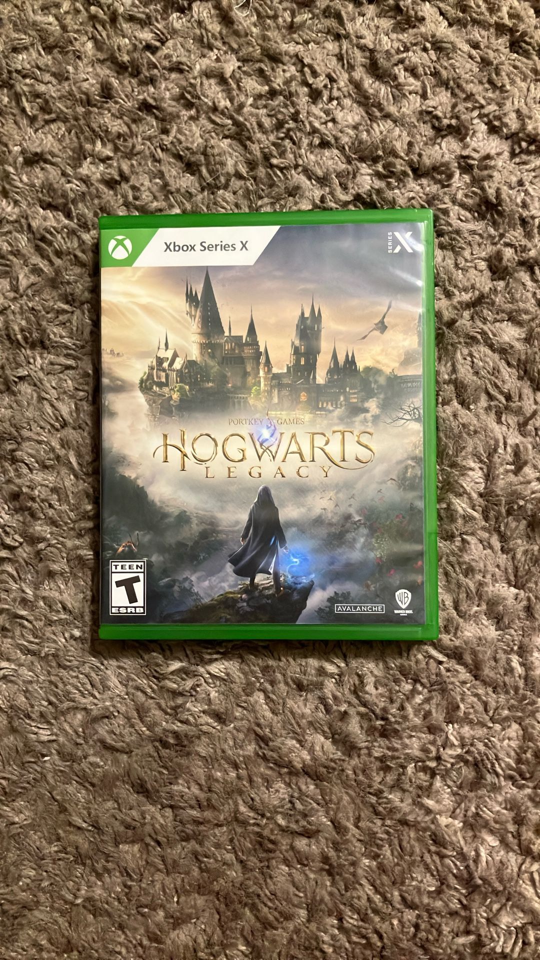 Hogwarts Legacy Xbox Series X