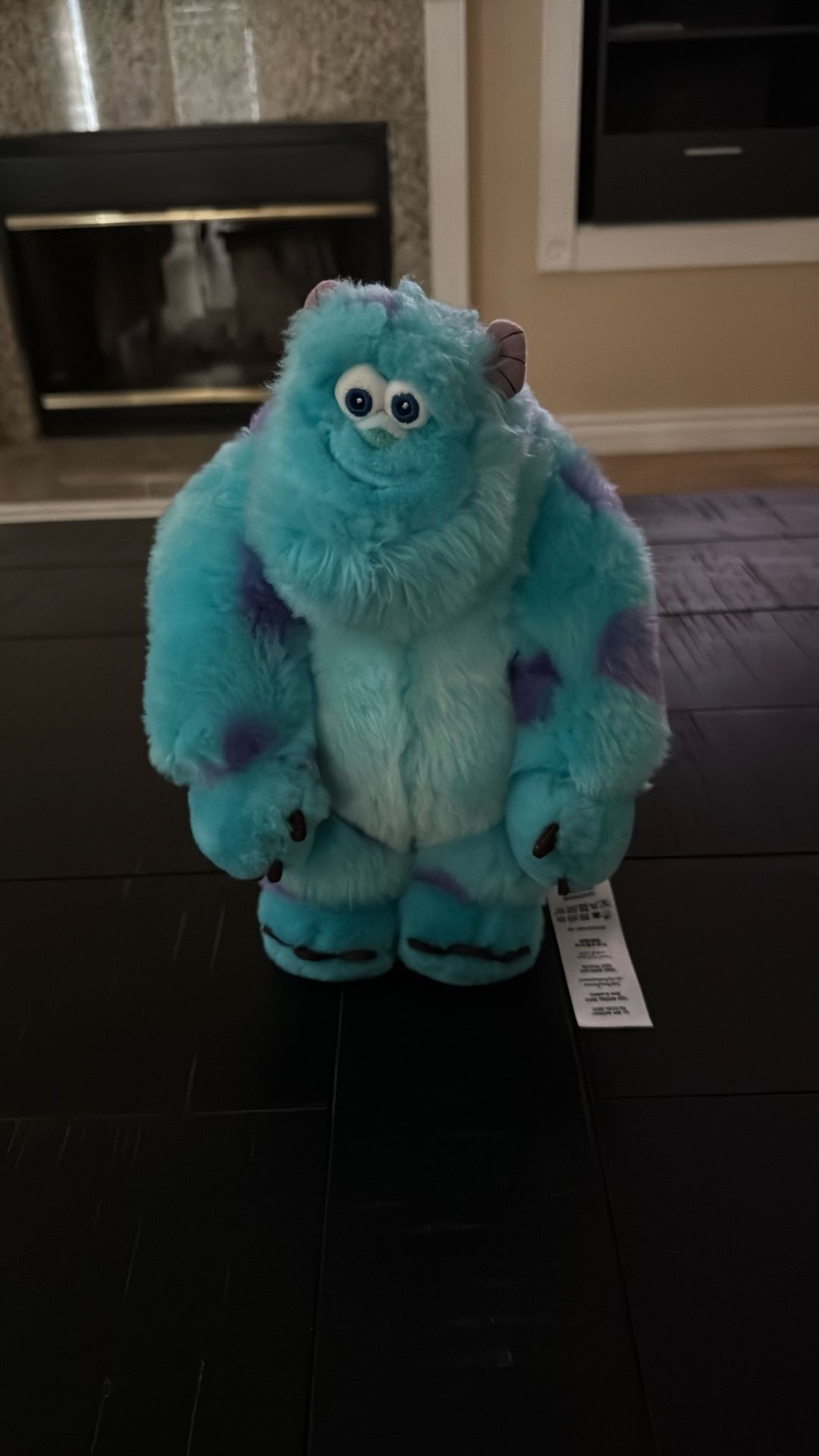Sully, Monsters inc.