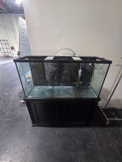 LARGE FISH TANK