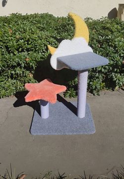 Small Cat Activity Tree
