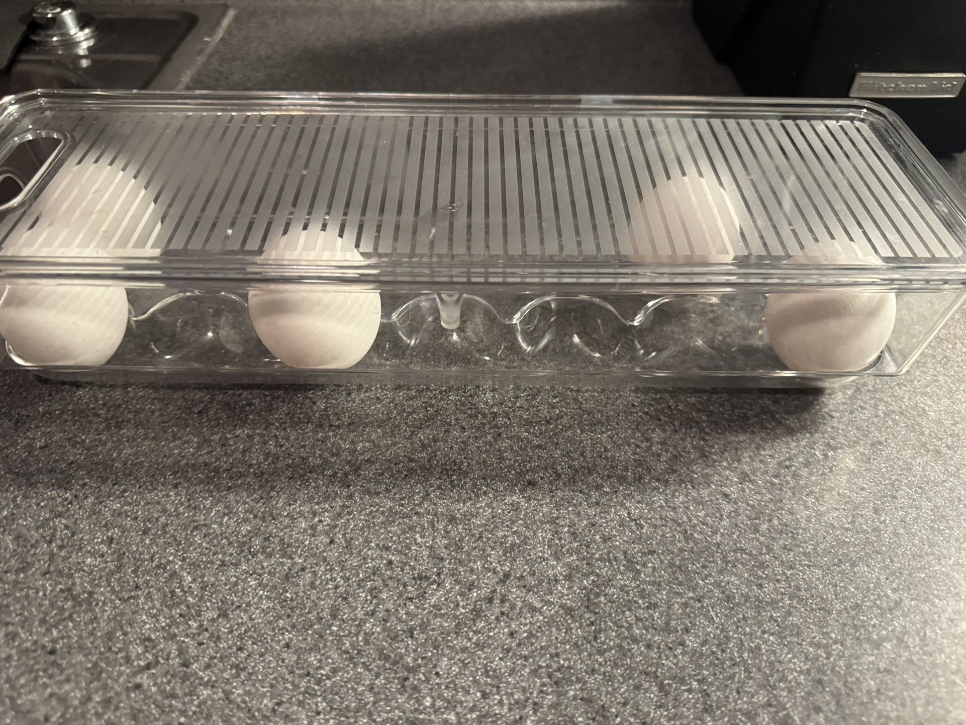 EGG CONTAINER (NEW)