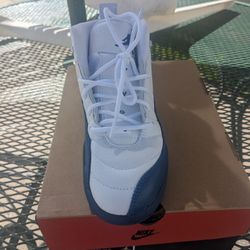 Jordan 12 French Blue 1y 