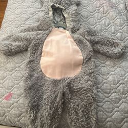 A costume about a gray mouse from 2T to 3T $25