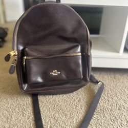 Dark Brown Coach Backpack