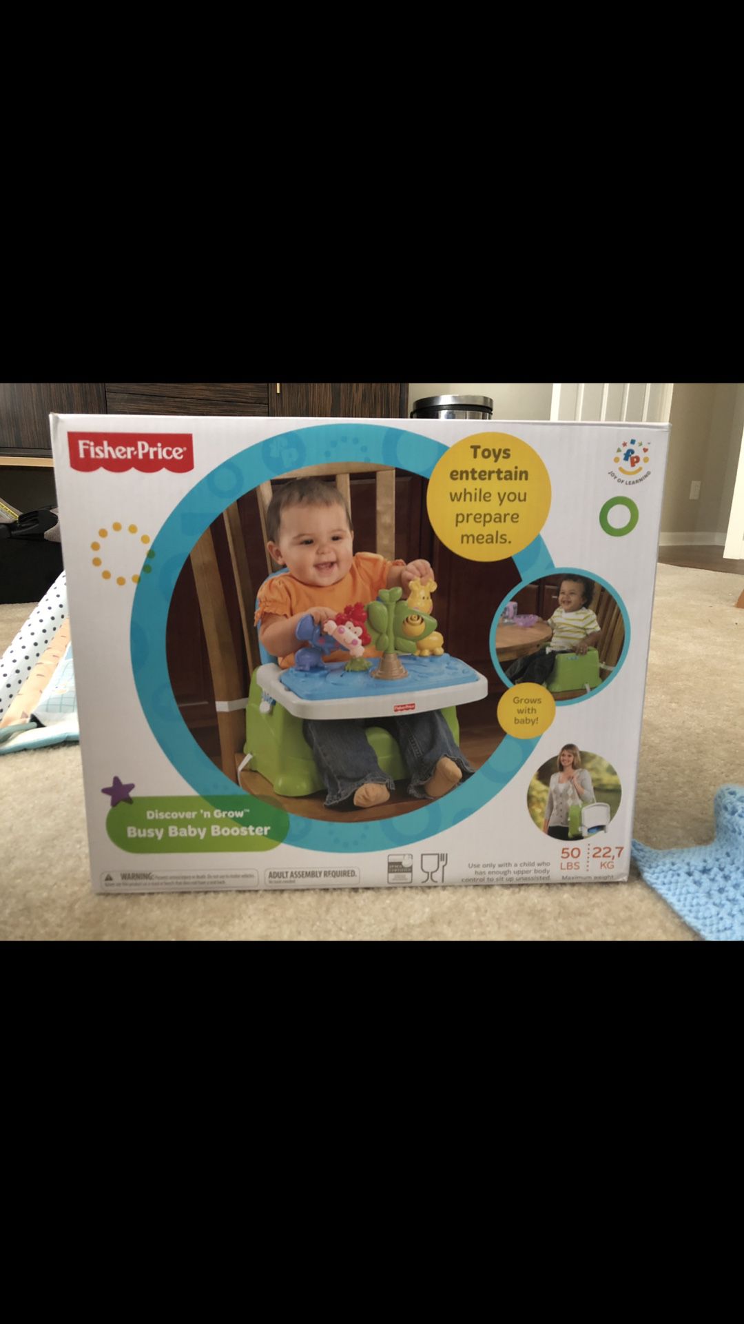 Fisher Price Baby Booster
