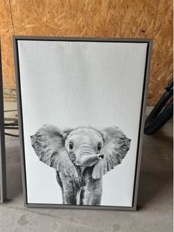 Canvas elephant photo