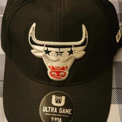 Chicago Bulls SNAPBACK HAT 
