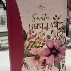 Santa Biblia RVR