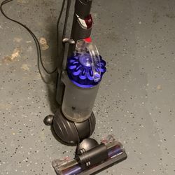 Dyson Ball Animal 2 Origin