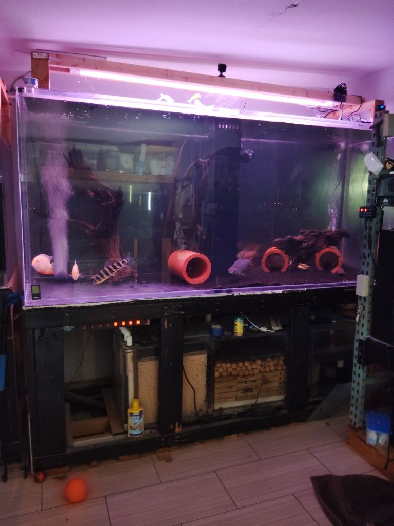 Fish Tank