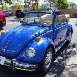 Super Beetle 1977