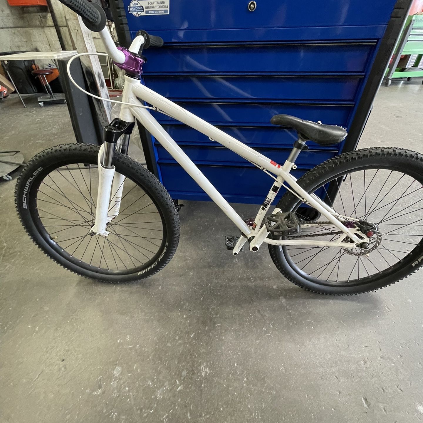 2010  Specialized Downhill P2 Series