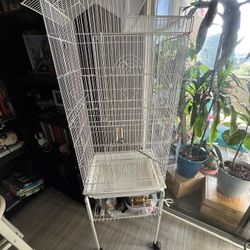 Bird Cage - Big 