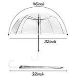 Clear Bubble Umbrellas. 