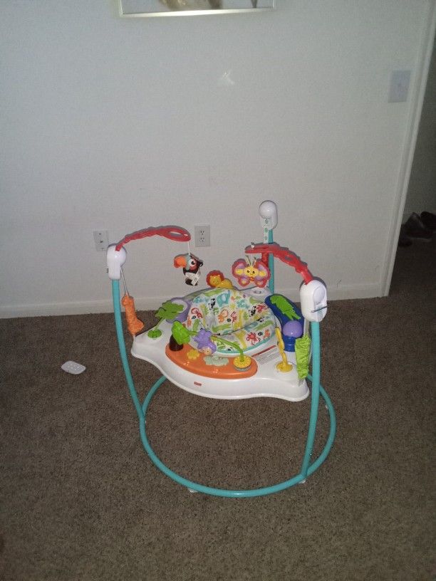 Fisher Price Baby Bouncer