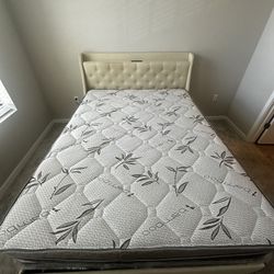 Queen Bed & bed Frame