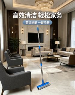 window/glass cleaning squeegee