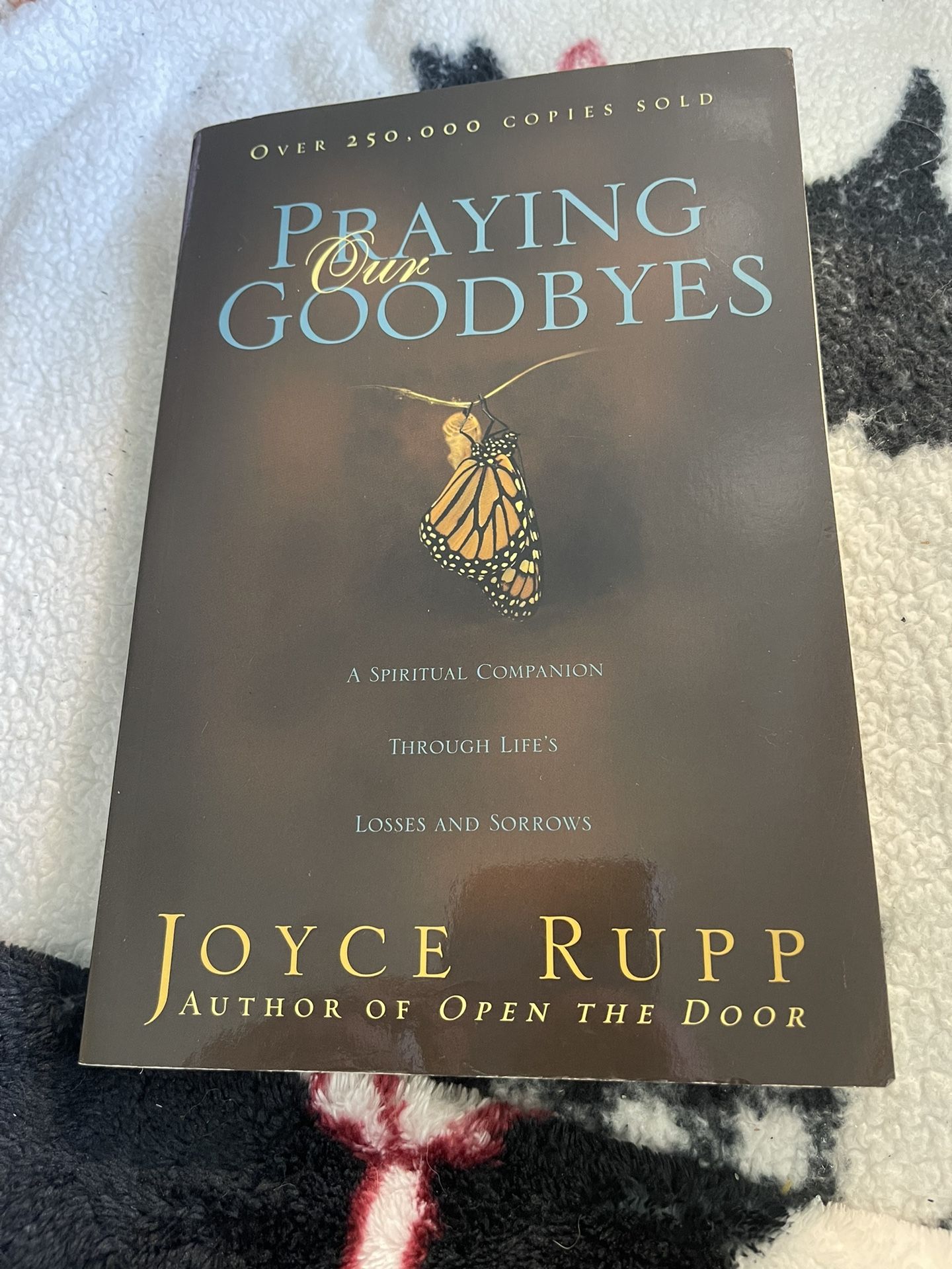 Praying Our Goodbyes Book