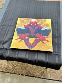 Spider Man Picture