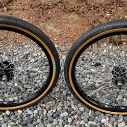 Peregrine SuperPros With Nankai Freecoaster Rear