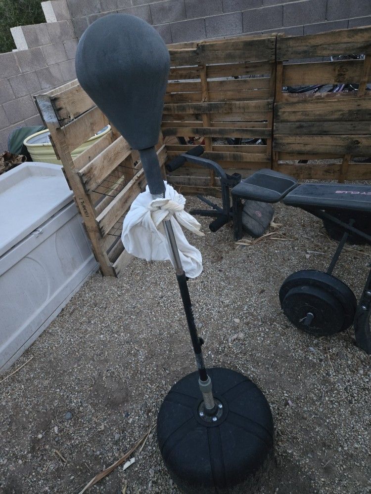 Freestanding Punching Bag (Reflex Bag)