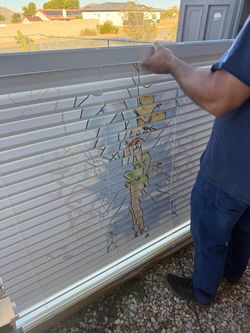 Tinker Bell blinds 58 1/8x 46 1/2