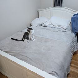 Bed Frame with Box Spring - Used