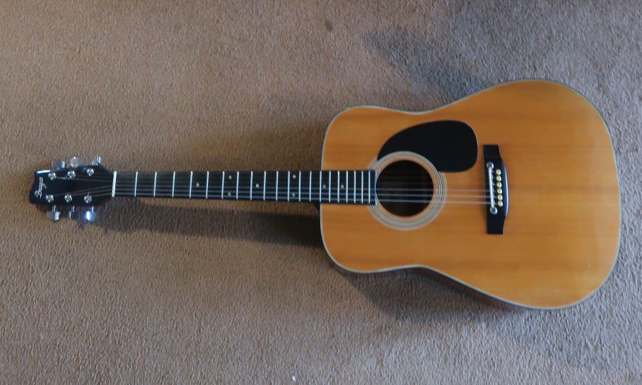 Brazos Dreadnought Acoustic Guitar BA50 6-String