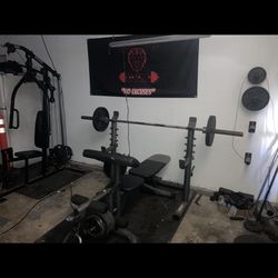 Golds Gym Weight Bench  Iron Weights