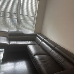 Sectional Couch 