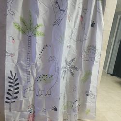 #13 Shower Curtain 